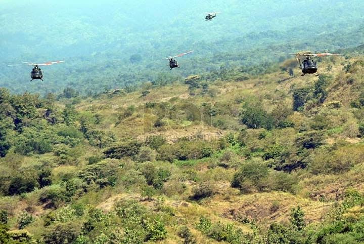 Lahan Latihan Perang di Situbondo Disulap Jadi Penggemukan Sapi