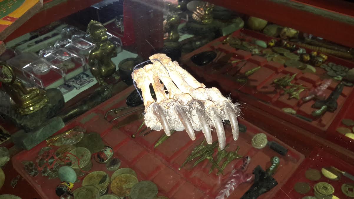 Jual Organ Satwa Dilindungi, Scorpion Laporkan Pengelola Toko Di Kalbar Ke KLHK
