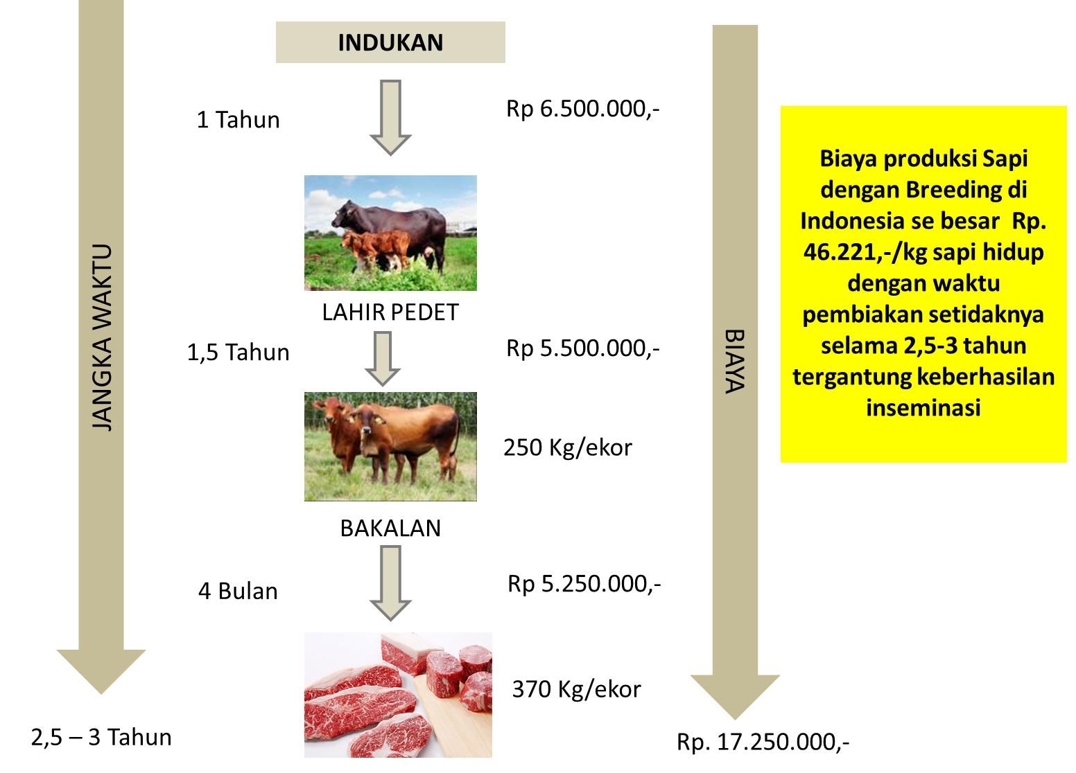 Santori Datangkan 2.000 Sapi Indukan Untuk Dimitrakan Dengan Peternak Jatim