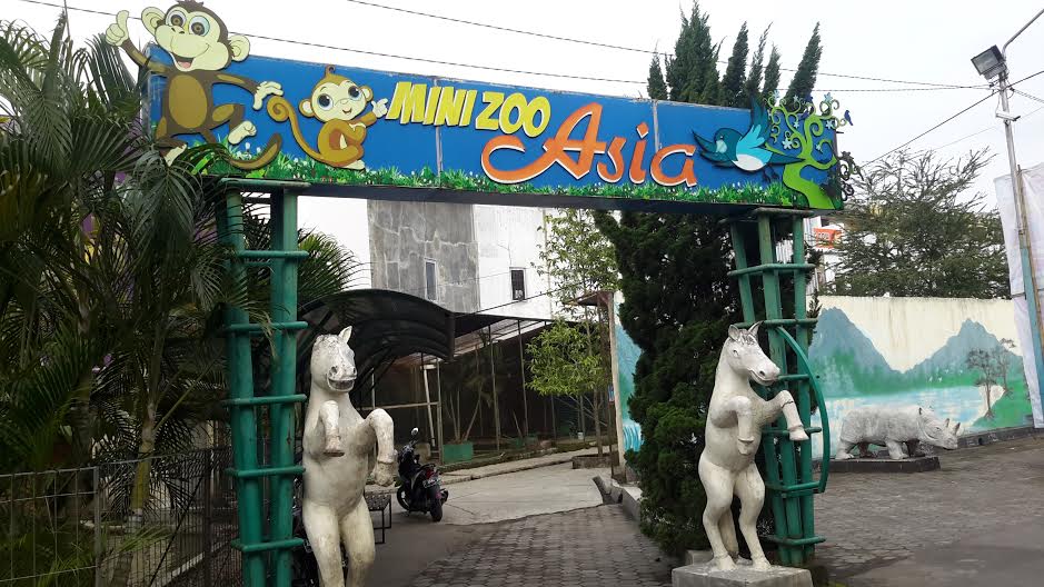 Diduga Tak Berizin, Plaza Asia Mini Zoo Tasikmalaya Diminta Ditutup