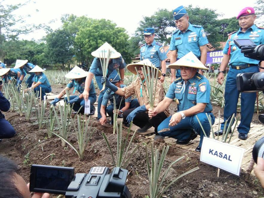 Dukung Ketahanan Pangan Nasional, KASAL Resmikan Budidaya Tanaman di Lahan Kering