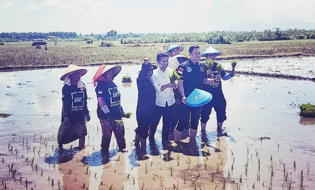 Nyemplung Sawah Bareng Emil, AHY: Saatnya Yang Muda Berkarya