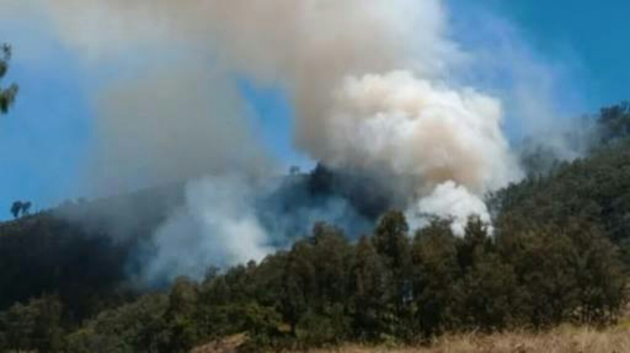 Hutan Panderman Terbakar, Hanguskan Empat Hektar Lahan Perhutani
