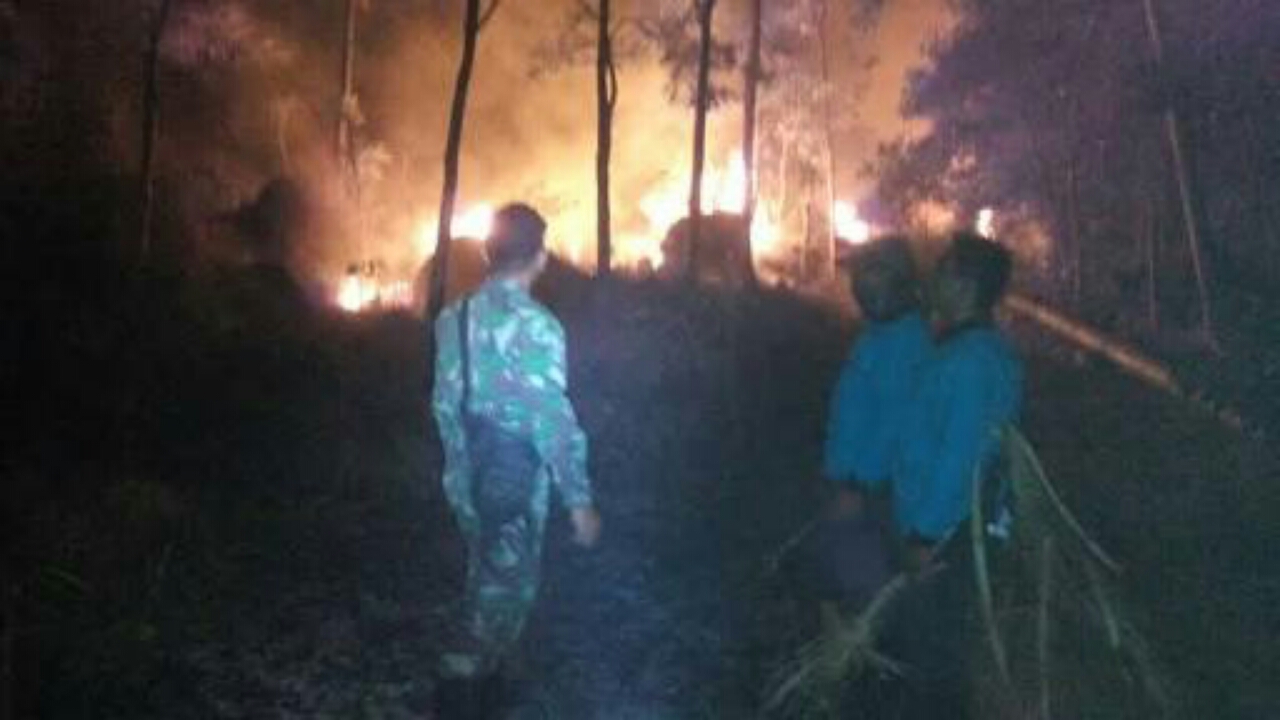 Kebakaran Hanguskan 100 Hektar Hutan Gunung Ciremai
