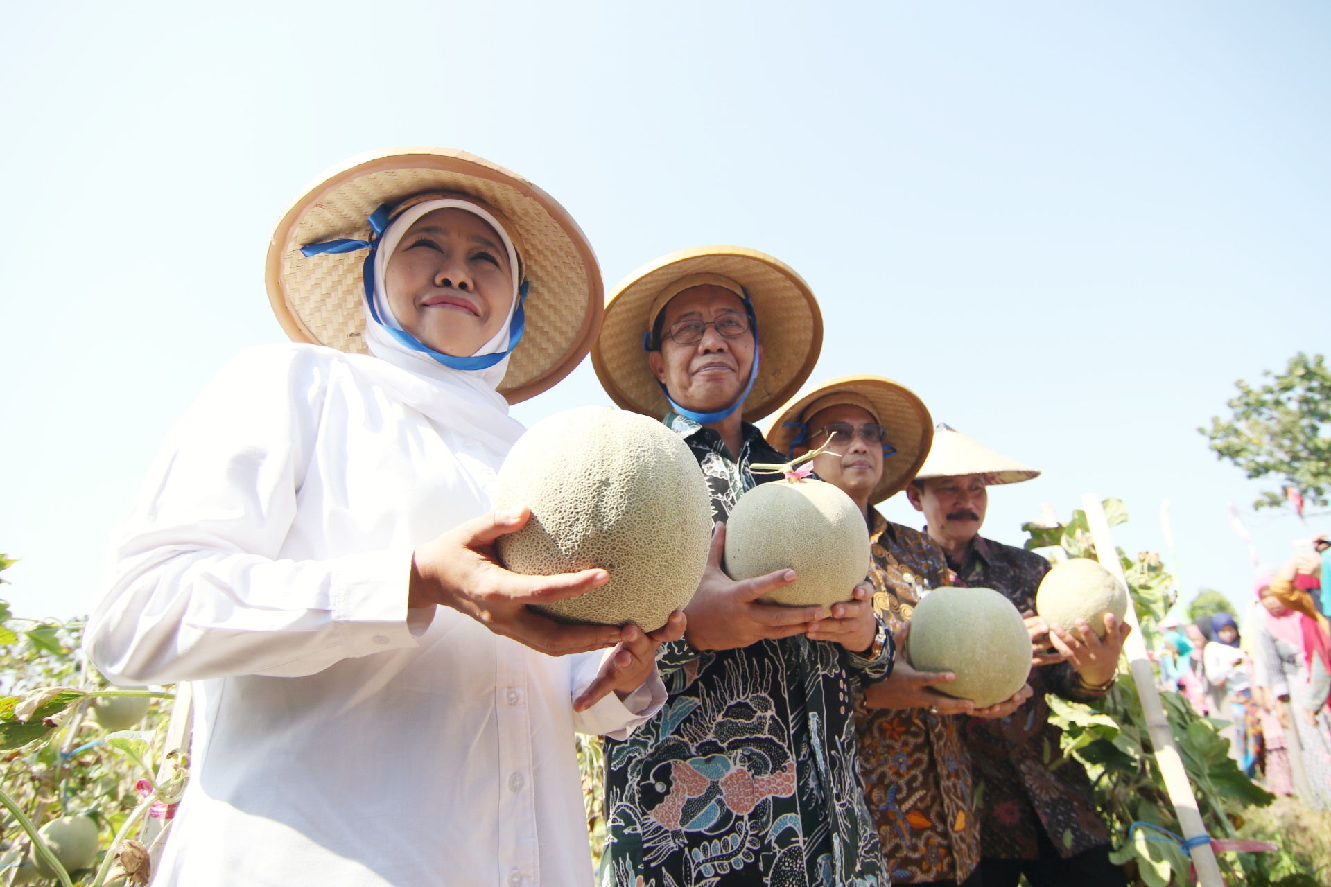 Khofifah Pesta Melon Di Tuban