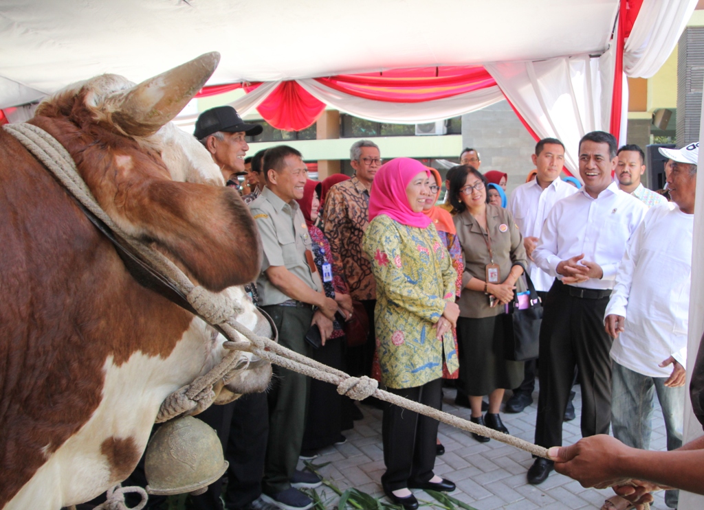 DPRD Jatim: Kenaikan Iuran BPJS Kesehatan Minim Sosialisasi