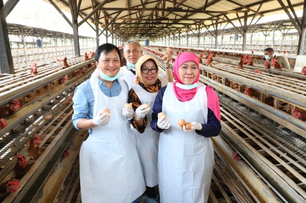 Jatim Terapkan Pola Good Farming Practices, Khofifah Imbau Tak Cemas Komsumsi Telur