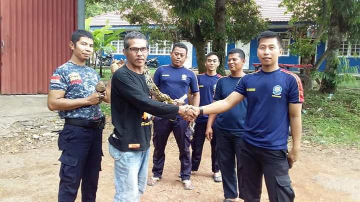 Kepo Tentang Ular Komunitas Raja Siap Beri Edukasi