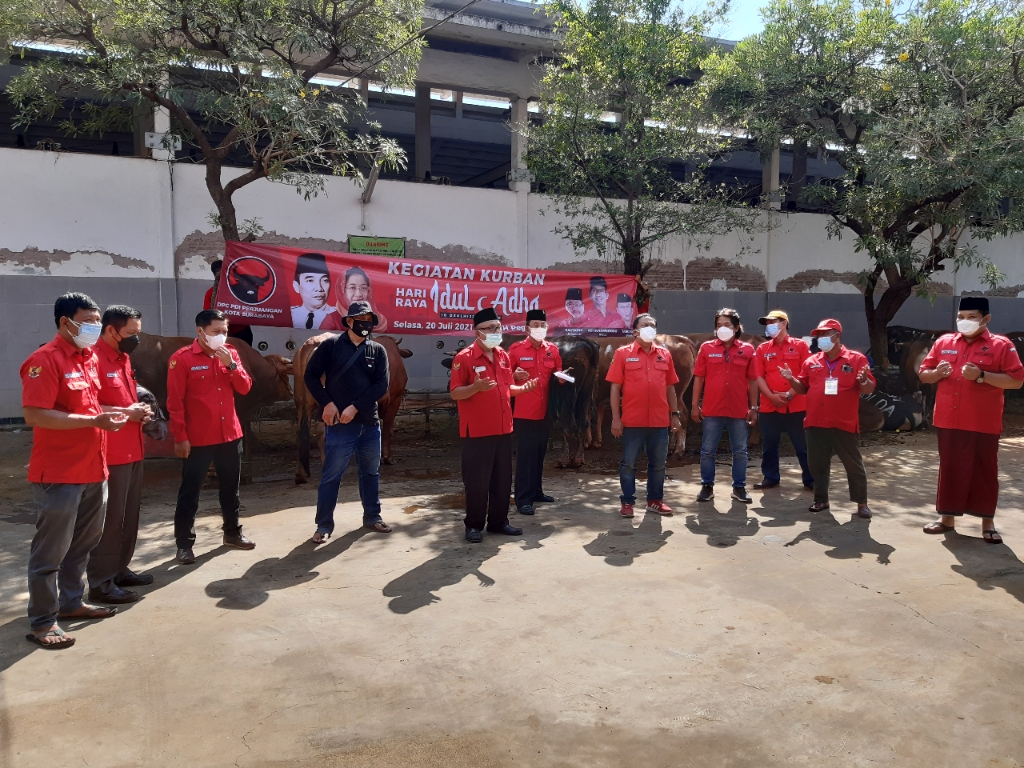 Peringati Idul Adha, PDIP Surabaya Kurban 6 Ekor Sapi
