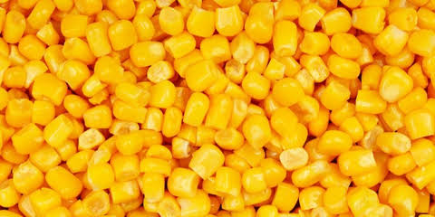 Impor Jagung Indonesia Mencapai Rp401,45 Miliar