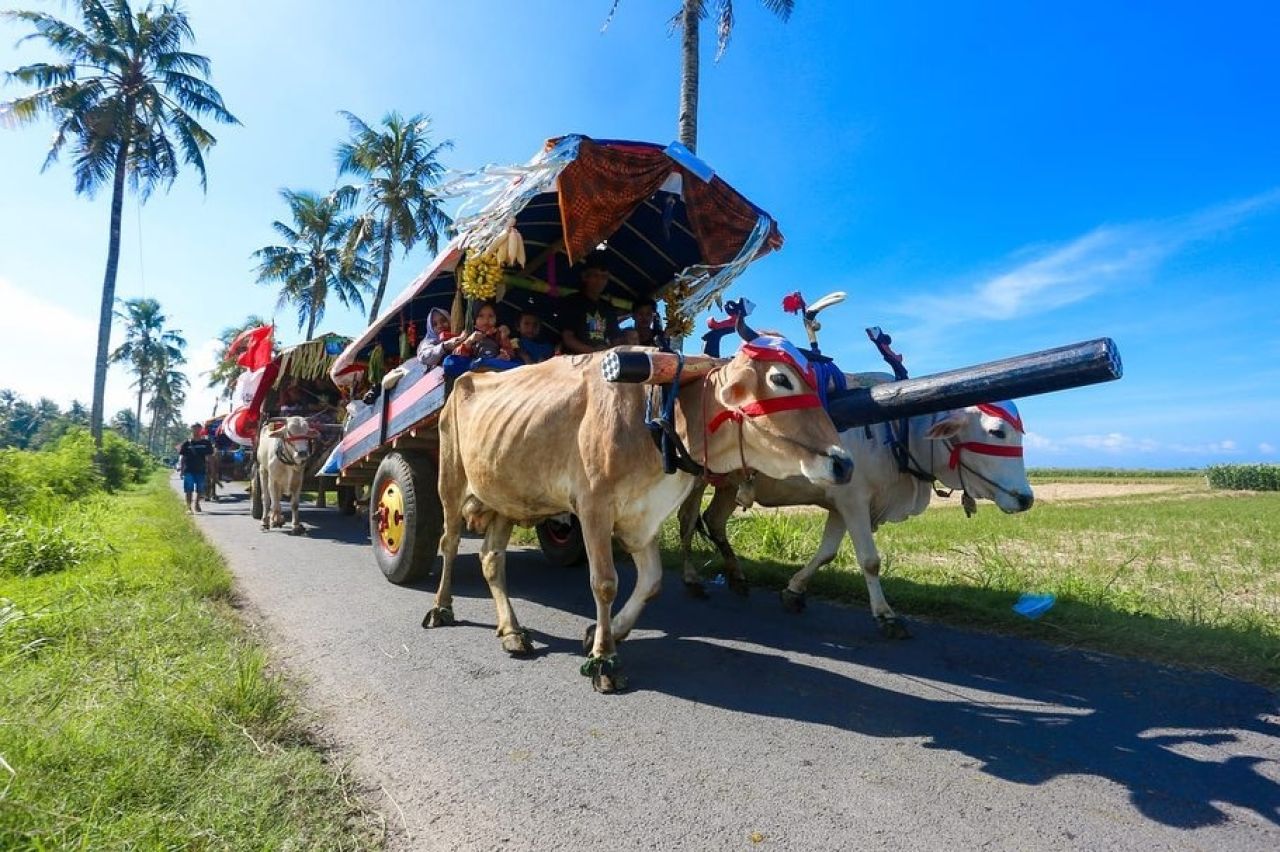 Pegon Watu Ulo Jember Masuk 15 Besar Jatim Jagad Inovasi Award 2026